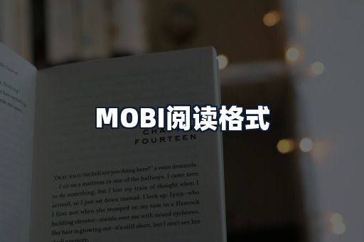 MOBI阅读格式